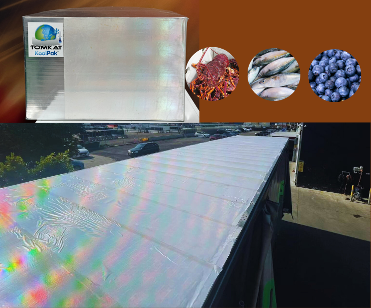 Self-cooling food supply chain box application implemented in Queensland, Australia 