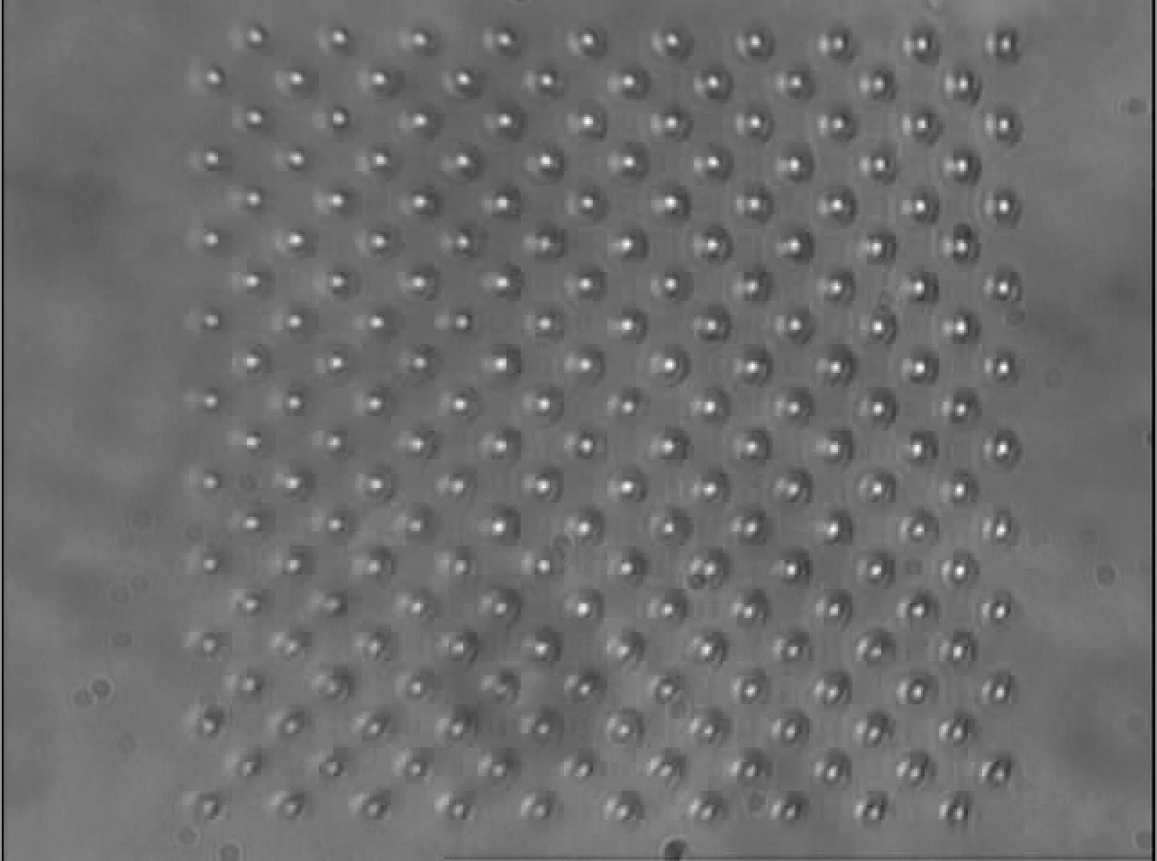 Industrial scale manufacturing